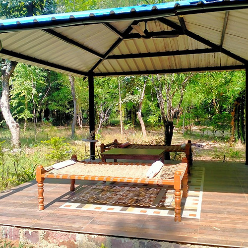 Badrika Farm